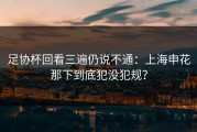 足协杯回看三遍仍说不通：上海申花那下到底犯没犯规？