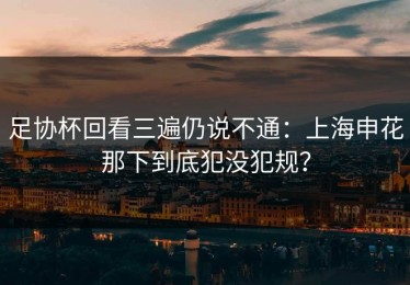 足协杯回看三遍仍说不通：上海申花那下到底犯没犯规？