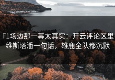 F1场边那一幕太真实：开云评论区里维斯塔潘一句话，雄鹿全队都沉默