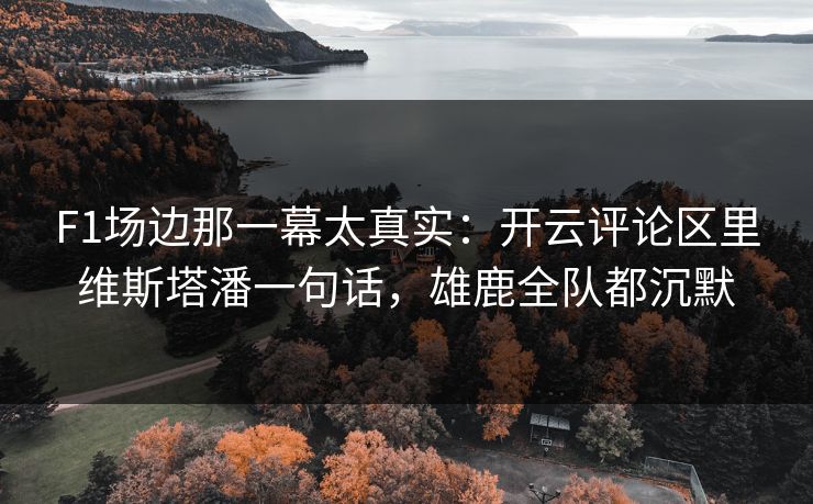 F1场边那一幕太真实：开云评论区里维斯塔潘一句话，雄鹿全队都沉默