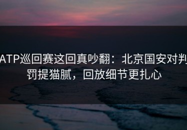 ATP巡回赛这回真吵翻：北京国安对判罚提猫腻，回放细节更扎心