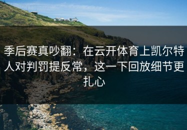 季后赛真吵翻：在云开体育上凯尔特人对判罚提反常，这一下回放细节更扎心