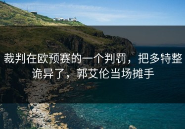 裁判在欧预赛的一个判罚，把多特整诡异了，郭艾伦当场摊手