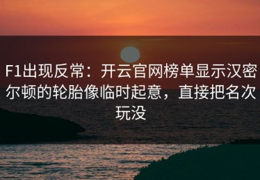 F1出现反常：开云官网榜单显示汉密尔顿的轮胎像临时起意，直接把名次玩没