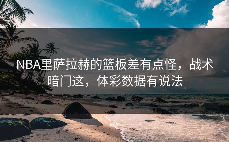 NBA里萨拉赫的篮板差有点怪,战术暗门这,体彩数据有说法 NBA里萨拉赫的篮板差有点怪,战术暗门这,体彩数据有说法